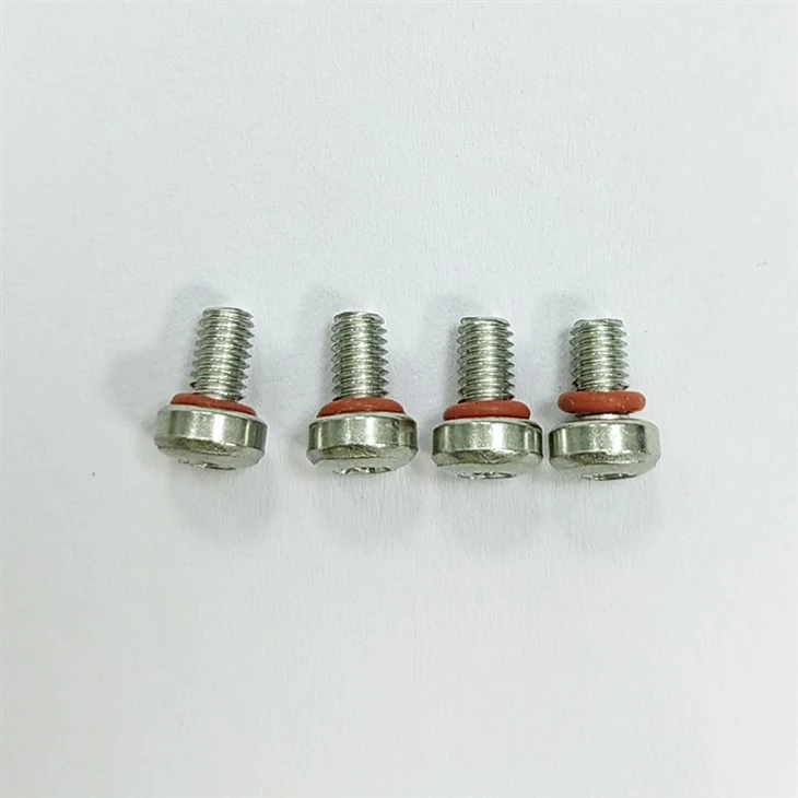 torx sealing screw (4)